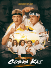 Cobra Kai S06 EP01-05 (Hin + Eng) 