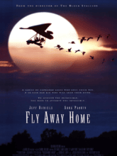 Fly Away Home (Tam + Hin + Eng)